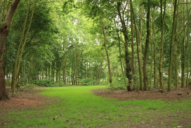 Park bij groepsaccommodatie 't Volderke green key